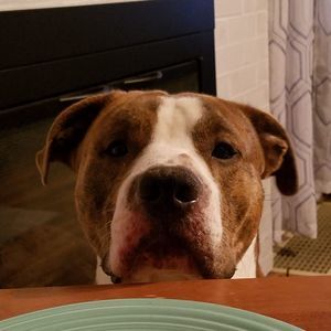 Meet your Posher, Trisha